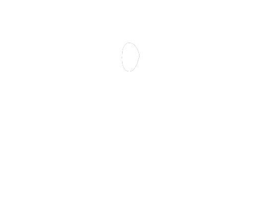 alpha espai GROUP